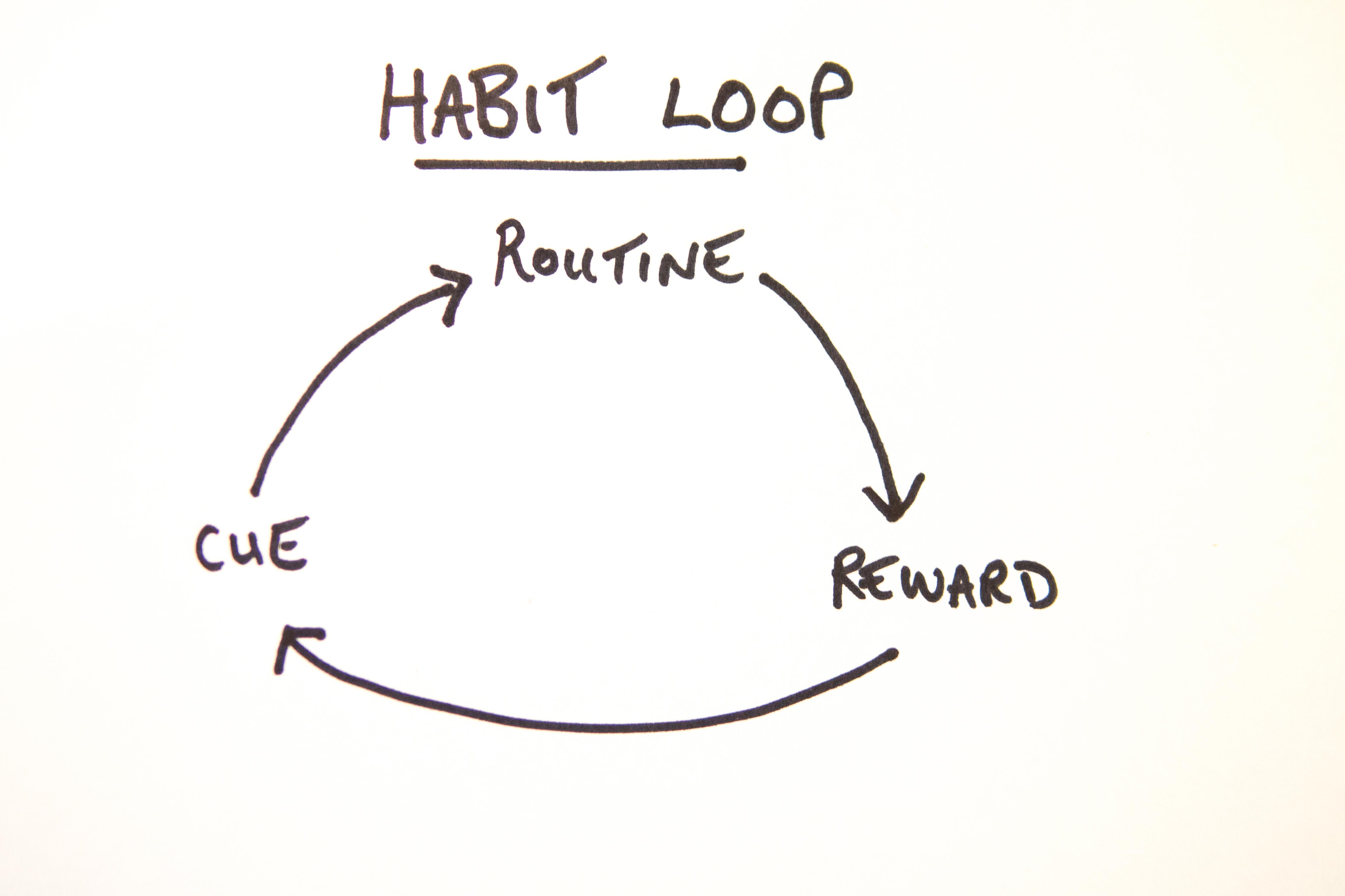 Habit Loop Diagram